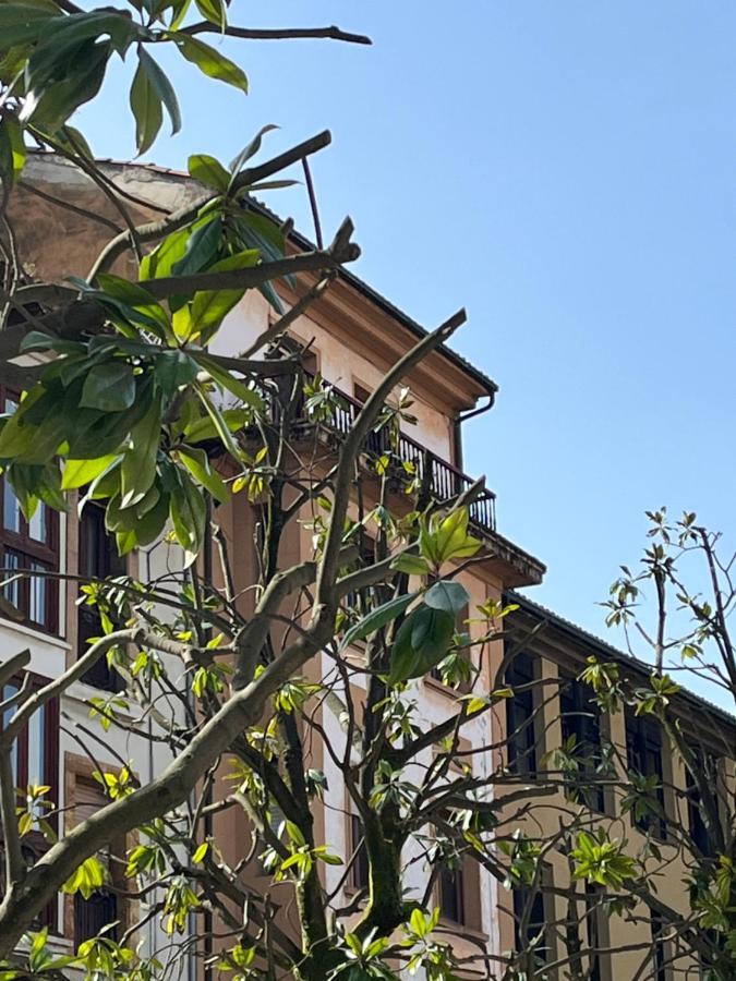 Apartamento Wamba - La Catedral Oviedo Zewnętrze zdjęcie
